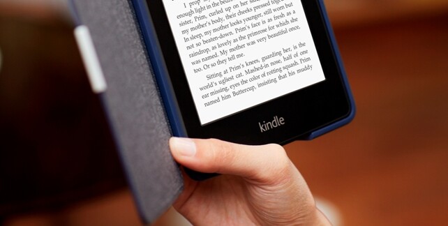 Cheap Kindle eBooks